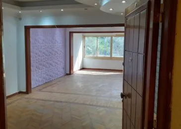 مكتب للإيجار فى الدقى 250م  فى شارع فينى الرئيسى  موقع ممتاز .